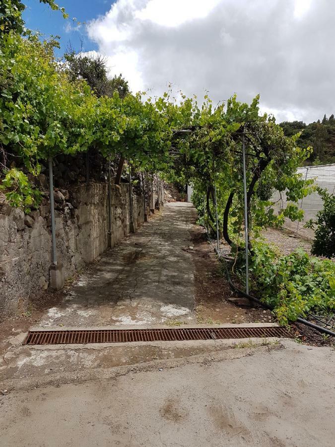 Casa Rural La Hoyita De Tunte San Bartolomé Exterior foto